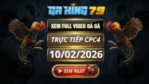 Xem Full Clip Da Ga Truc Tiep CPC4 Ngay 10022026 2