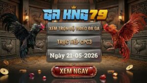 Xem Full Clip Đá Gà Bồ CPC3 Ngày 21/05/2026