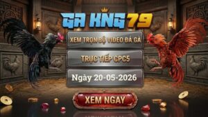 Xem Full Clip Đá Gà Bồ CPC5 Ngày 20/05/2026