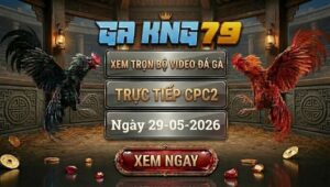 Xem Full Video Đá Gà CPC2 30/05/2026