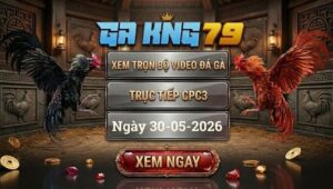 Xem Full Video Đá Gà CPC3 30/05/2026