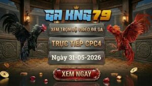 Xem Full Video Đá Gà CPC4 31/05/2026