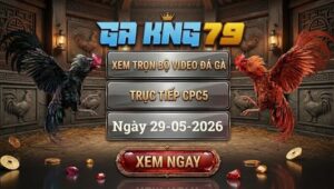 Xem Full Video Đá Gà CPC5 29/5/2026