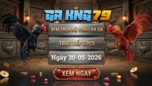 Xem Full Video Đá Gà CPC5 30/05/2026